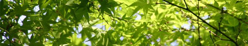 ガーデニング関連情報の本当の選び方を知っていますか？