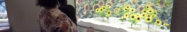 花火のニュースがあります