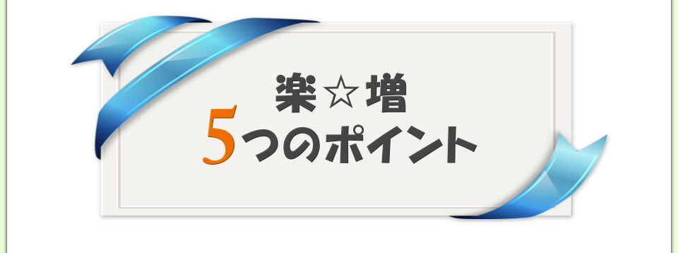 アフィリエイトサイト制作ツール「楽☆増」５つのポイント