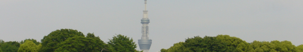 きのこに注目してみた！！