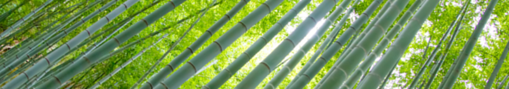 カニしゃぶ、気になりませんか？
